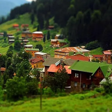 Nazar 酒店 特拉布宗