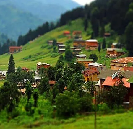 Nazar Hotel Trebizonda